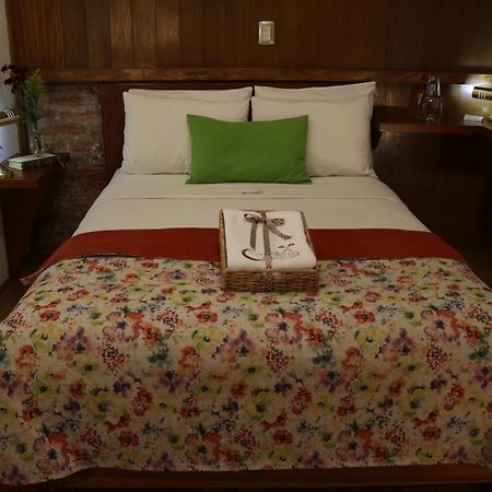 Chalet Del Carmen, Coyoacan Meksyk Zewnętrze zdjęcie