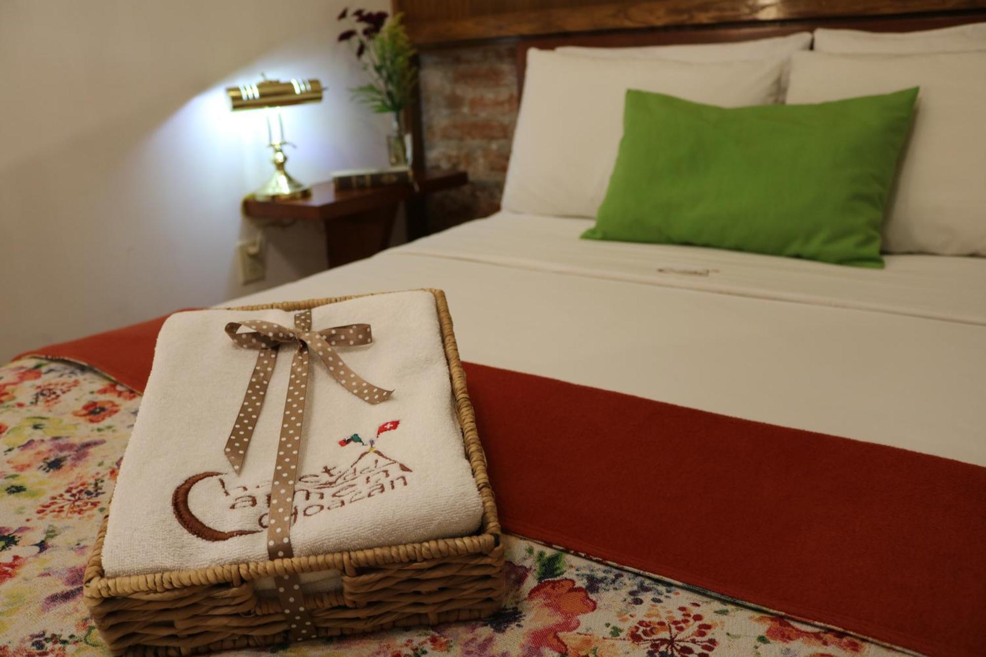 Chalet Del Carmen, Coyoacan Meksyk Zewnętrze zdjęcie