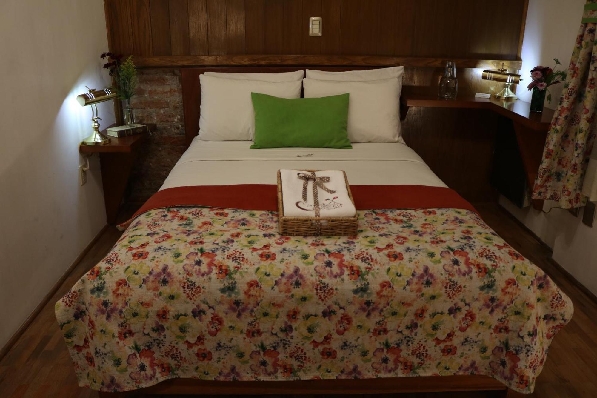 Chalet Del Carmen, Coyoacan Meksyk Zewnętrze zdjęcie