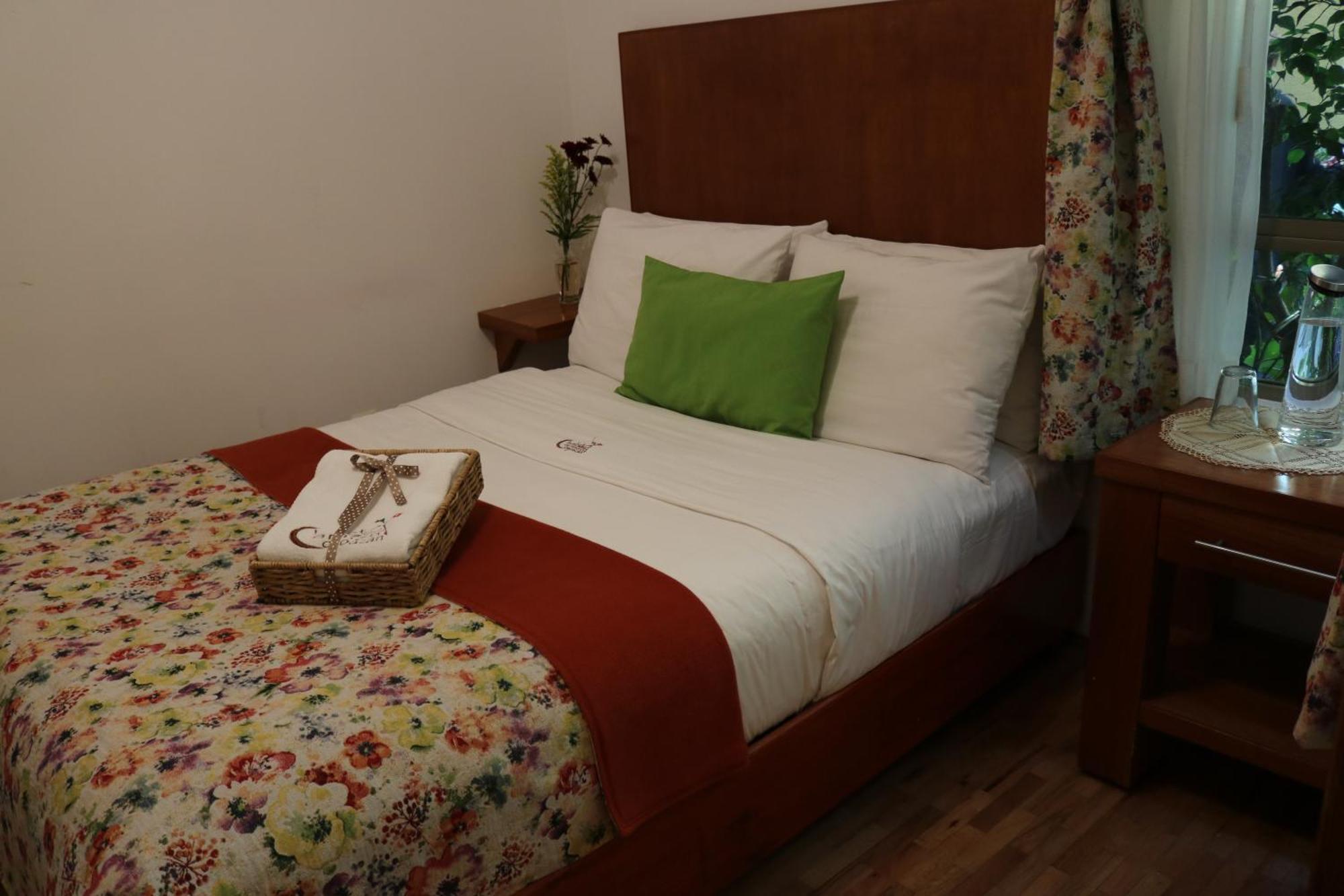 Chalet Del Carmen, Coyoacan Meksyk Zewnętrze zdjęcie