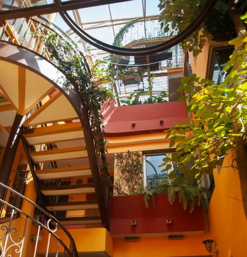 Chalet Del Carmen, Coyoacan Meksyk Zewnętrze zdjęcie